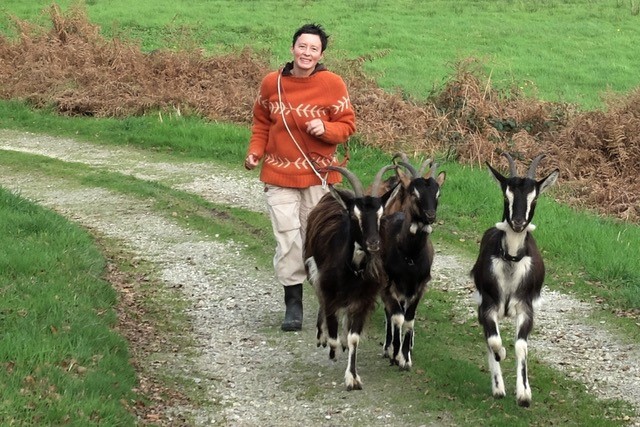 Karin Erni et ses biquettes à Langonnet, dans le centre-Bretagne.