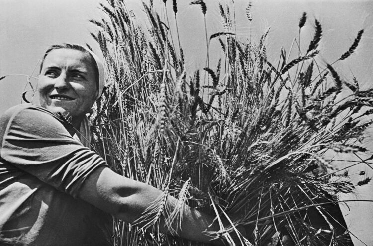 Une femme travaillant à la ferme entre 1935 et 1940, Krasnodar, Russie.