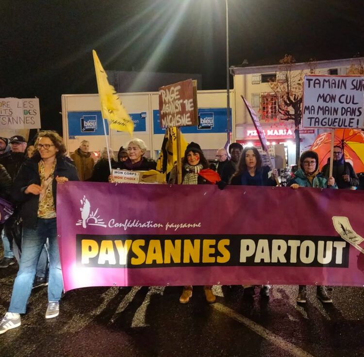 Manifestation de paysannes à Mont-de-Marsan, à l'occasion du 25 novembre 2024. 