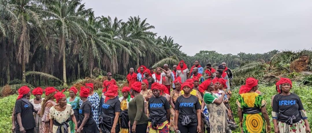 riveraines de la plantation Socapalm d'Édéa bloquent un chantier de renouvellement de plantations à Apouh