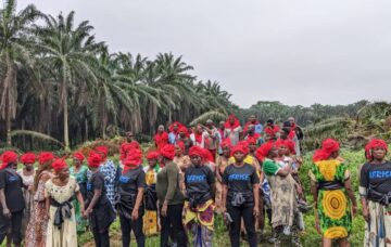 riveraines de la plantation Socapalm d'Édéa bloquent un chantier de renouvellement de plantations à Apouh