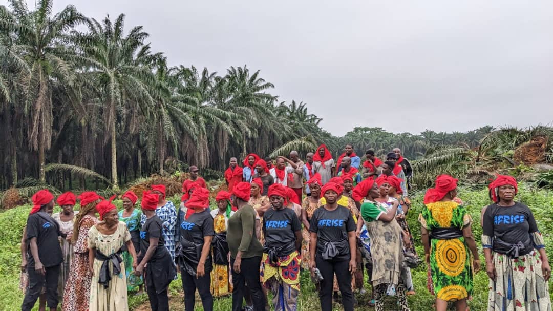 Le 12 août 2024, les riveraines de la plantation Socapalm d'Édéa bloquent un chantier de renouvellement de plantations à Apouh, dans le département de la Sanaga-maritime.