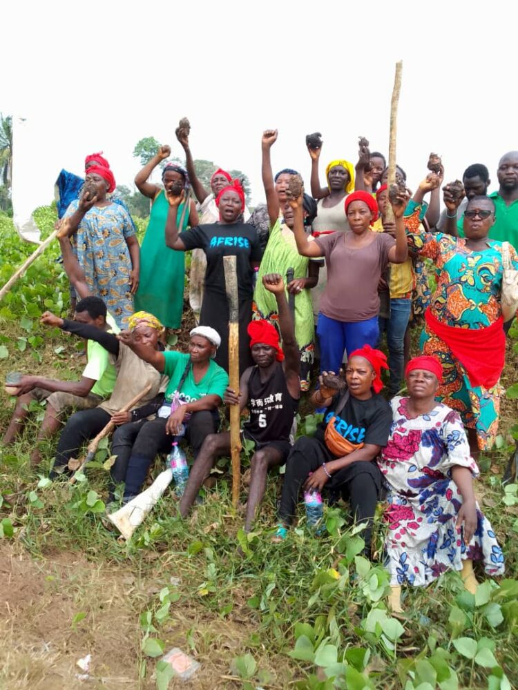 Le 3 janvier 2025, des riveraines de la plantation d’Édéa ont lancé une action de reprise de terres.