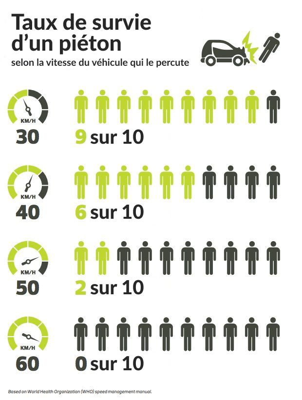 Le taux de survie d'un piéton, en fonction de la vitesse du véhicule. 