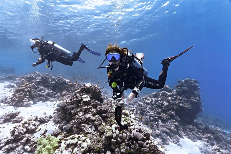 Deux plongeur·ses dans la mer rouge en juin 2023. © Sun_Shine / Shutterstock